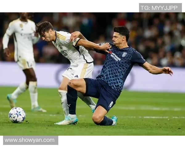 探索全球足球俱乐部的魅力与发展趋势带你领略不同文化的足球风情