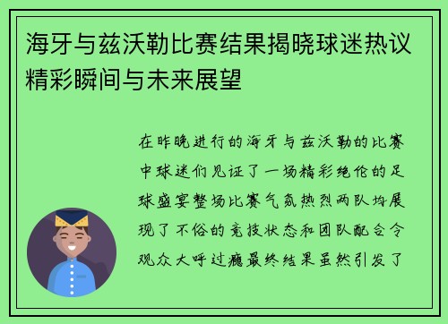 海牙与兹沃勒比赛结果揭晓球迷热议精彩瞬间与未来展望