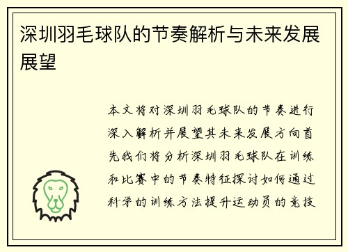深圳羽毛球队的节奏解析与未来发展展望