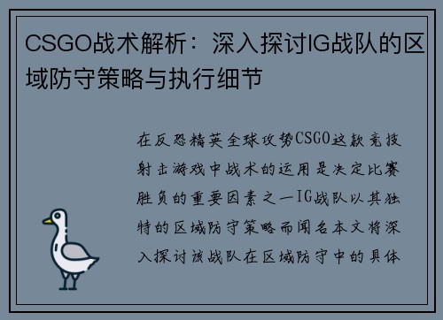 CSGO战术解析：深入探讨IG战队的区域防守策略与执行细节